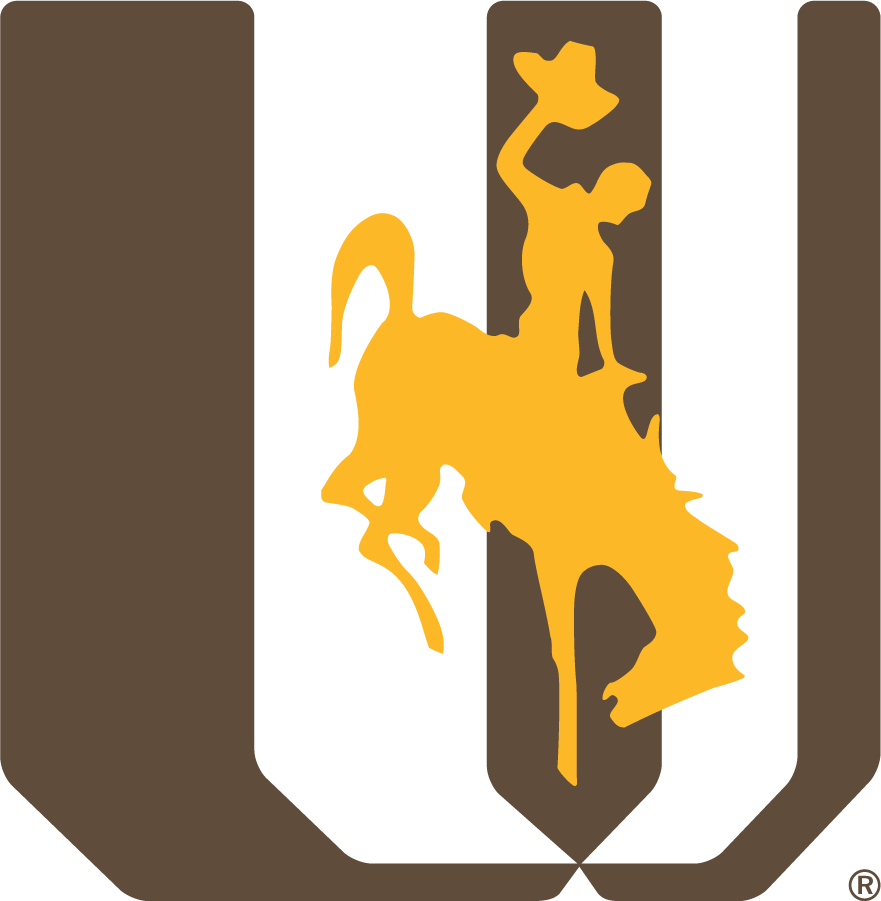 Wyoming Cowboys 1988-2000 Alternate Logo diy iron on heat transfer